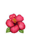 Hibiscus Rose